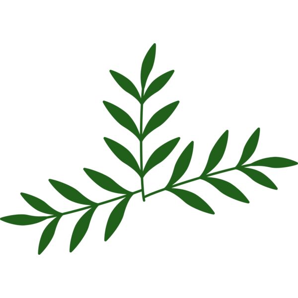 Leaves 2 Thumbnail