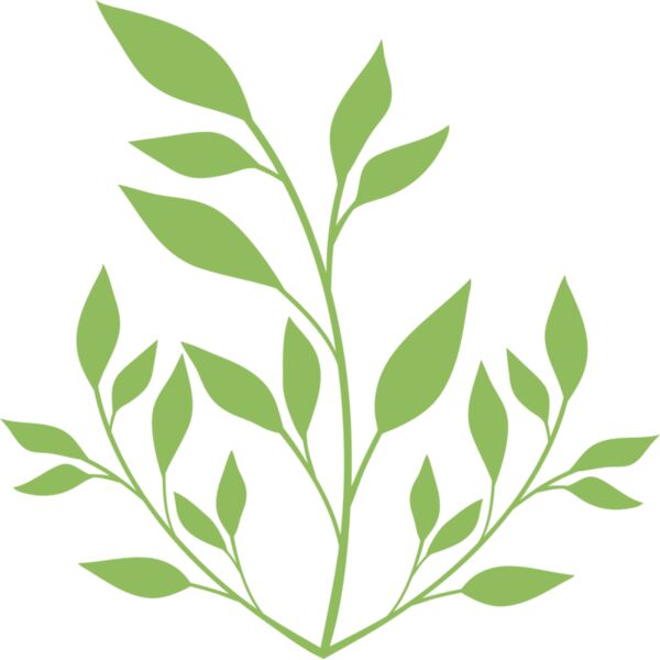 Leaves Thumbnail