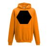 College hoodie Thumbnail