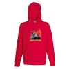 Lightweight hooded sweatshirt Thumbnail